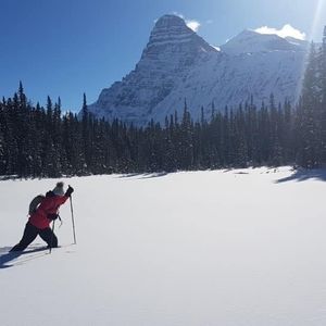Meet your Posher, Jane